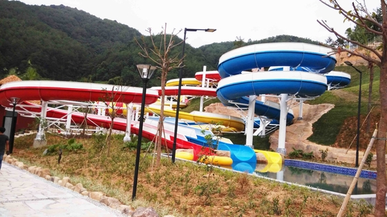 qualità  Funny FPR Water Slide Games Double Open And Close Cool Water Slides for Water Park Fabbrica