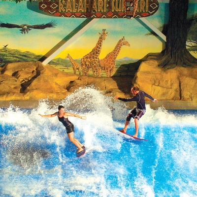 Godendo del giro dell'acqua di Flowrider, il bordo attraente praticante il surfing/acqua di scivolo di Wave parcheggia il divertimento