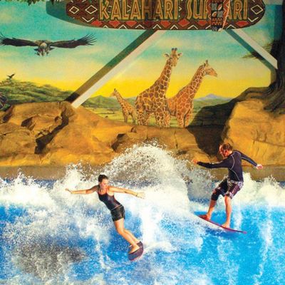Simulatore di surf OEM Flowrider con pompa dell'acqua da 65kw e PVC morbido e resistente per parchi acquatici 15,3m*9,3m