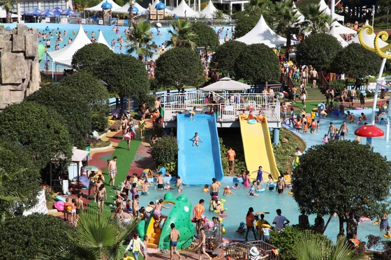 Il mondo dinamico dell'acqua della sicurezza ha personalizzato il parco dell'acqua del progetto/tema del parco dell'acqua