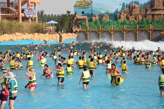 Stagno di Wave del parco dell'acqua di divertimento della famiglia per i bambini o gli adulti/il progetto parco dell'acqua