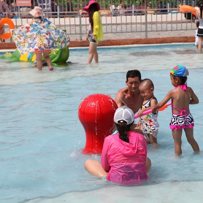 Attrezzatura su misura del parco dello spruzzo del cartone della carpa per divertimento bambini/dei bambini nella piscina