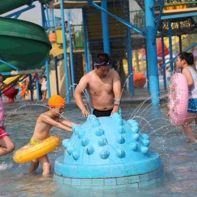 Divertimento del gioco dell'acqua dello spruzzo dell'istrice dell'attrezzatura del campo da giuoco dell'acqua della vetroresina per i bambini