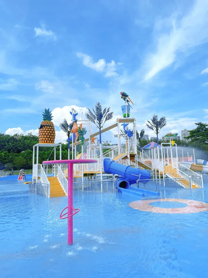 Parco acquatico Butterfly Studio di fattibilità Parco giochi per bambini attrezzature per giochi d'acqua