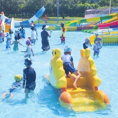 Parco acquatico Butterfly Studio di fattibilità Parco giochi per bambini attrezzature per giochi d'acqua