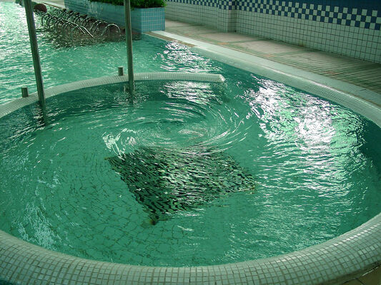 Equipaggiamento idroterapeutico SPA resistente alla corrosione con struttura in acciaio galvanizzato a caldo e sistema di controllo intelligente